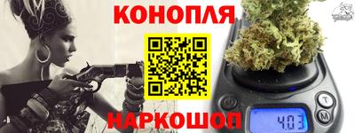 индика Братск